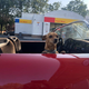 Image for article titled At $35,500, Is This Corvair-Powered 1957 Porsche Speedster Kit Car A Mashup That’s On The Money?